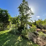 Casa Shani