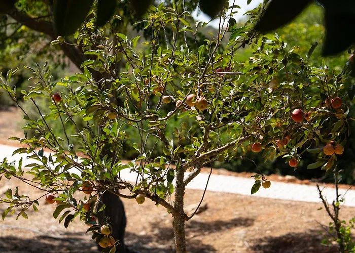 Casa Shani Villa Barão de São Miguel
